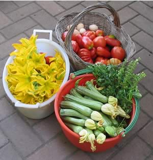 Al ritorno dalla campagna